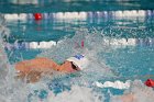 Swimming vs Bentley  Wheaton College Swimming & Diving vs Bentley College. - Photo by Keith Nordstrom : Wheaton, Swimming & Diving